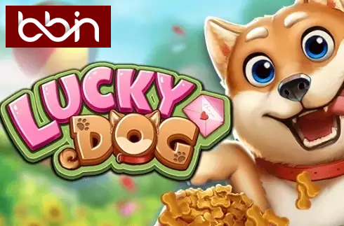 Lucky Dog